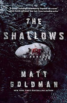 portada Shallows: A Nils Shapiro Novel: 3 (Nils Shapiro, 3) (en Inglés)