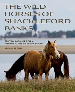 portada Wild Horses of Shackleford Banks (en Inglés)