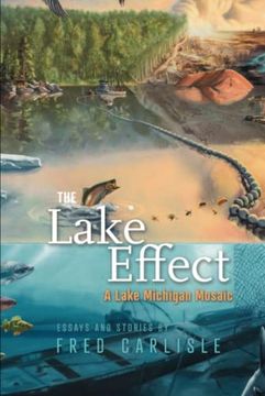 portada The Lake Effect: A Lake Michigan Mosaic (en Inglés)
