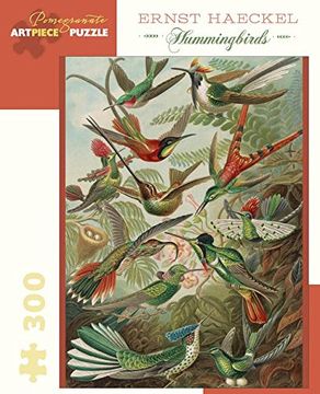 portada Ernst Haeckel Hummingbirds 300 Piece Jigsaw Puzzle (en Inglés)
