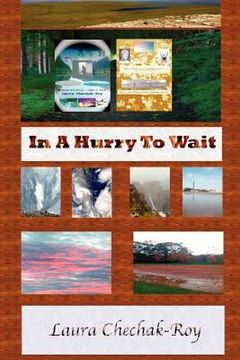 portada in a hurry to wait (in English)
