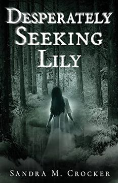 portada Desperately Seeking Lily (en Inglés)