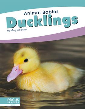 portada Ducklings (in English)