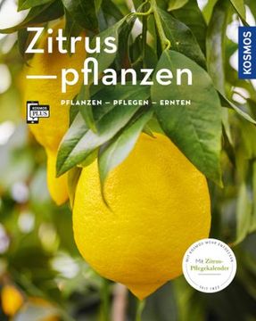 portada Zitruspflanzen (Mein Garten) (en Alemán)