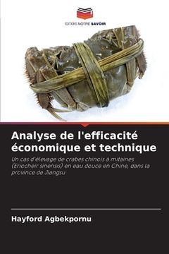 portada Analyse de l'efficacité économique et technique (in French)