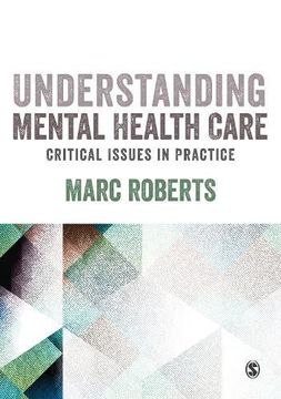 portada Understanding Mental Health Care: Critical Issues in Practice (en Inglés)