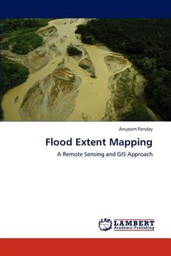 portada flood extent mapping (en Inglés)