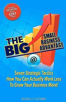 portada the big small business advantage (en Inglés)