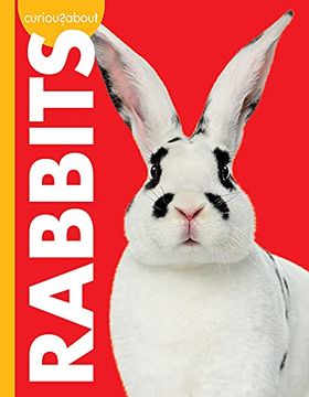 portada Curious About Rabbits (Curious About Pets) (en Inglés)