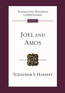 portada Joel and Amos: An Introduction and Commentary (Tyndale old Testament Commentary, 10) 