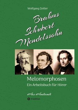 portada Brahms, Schubert, Mendelssohn: Melomorphosen - Früchte der Musikmeditation, sichtbar gemachte Informationsmatrix ausgewählter Musikstücke, Gestaltwer