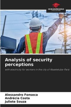 portada Analysis of security perceptions (en Inglés)