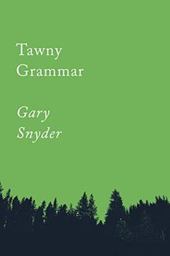 portada Tawny Grammar: Essays (Counterpoints Series) (in English)