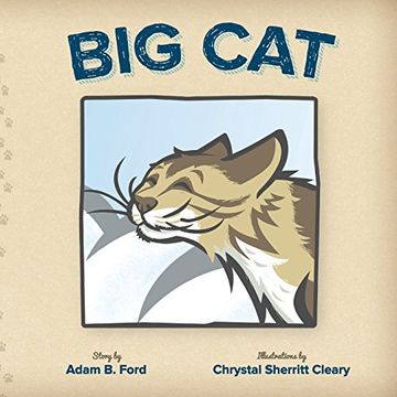 portada Big Cat