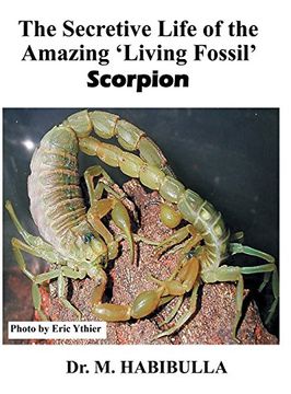 portada The Secretive Life of the Amazing 'Living Fossil' Scorpion