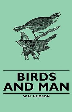 portada birds and man