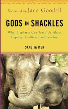 portada Gods in Shackles: What Elephants can Teach us About Empathy, Resilience and Freedom (en Inglés)