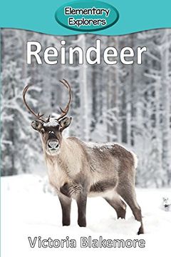 portada Reindeer (Elementary Explorers) (en Inglés)