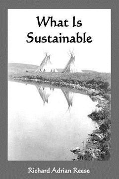 portada what is sustainable (en Inglés)