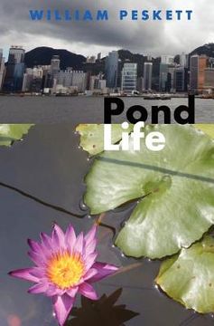 portada pond life (in English)