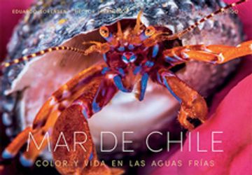 portada Mar De Chile. Color Y Vida En Las Aguas Frías (TD)
