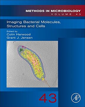 portada Imaging Bacterial Molecules, Structures and Cells: Volume 43 (Methods in Microbiology) (en Inglés)