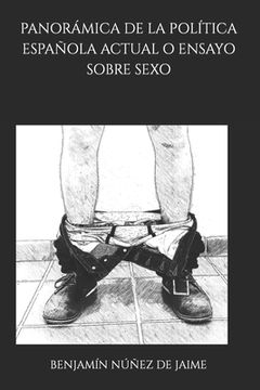 portada Panorámica de la política española actual o ensayo sobre sexo