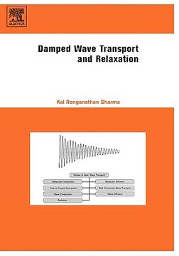 portada damped wave transport and relaxation (en Inglés)