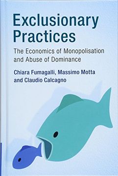 portada Exclusionary Practices: The Economics of Monopolisation and Abuse of Dominance (en Inglés)