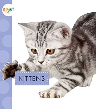 portada Kittens (Spot Baby Farm Animals) 