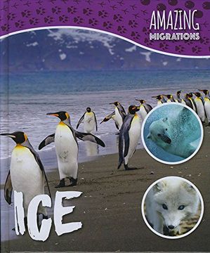 portada Ice (Amazing Migrations) (en Inglés)