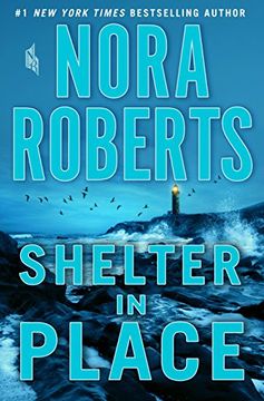 portada Shelter In Place (International Edition)