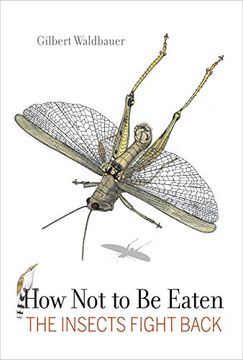 portada How not to be Eaten: The Insects Fight Back