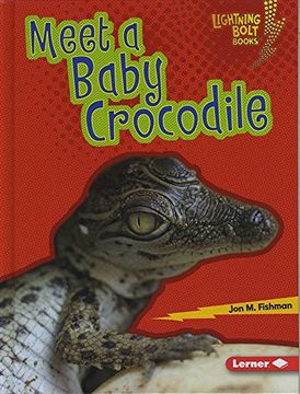 portada Meet a Baby Crocodile (Lightning Bolt Books: Baby Australian Animals)