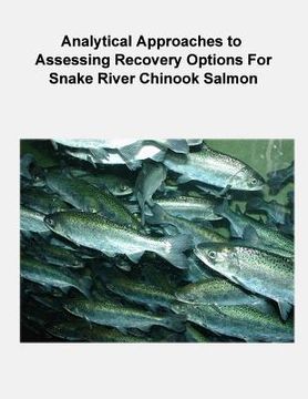 portada Analytical Approaches to Assessing Recovery Options for Snake River Chinook Salmon