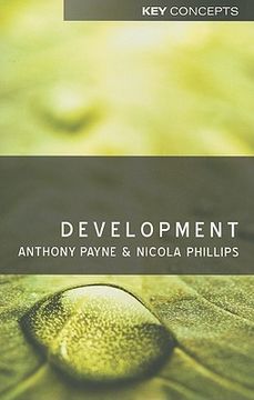 portada Development (Polity Key Concepts in the Social Sciences Series) (in English)