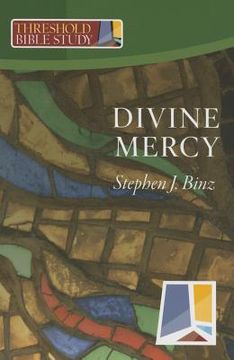 portada Divine Mercy (in English)