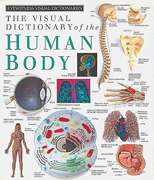 portada Eyewitness Visual Dictionaries: The Visual Dictionary of the Human Body (dk Visual Dictionaries) (in English)