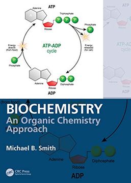portada Biochemistry: An Organic Chemistry Approach (en Inglés)