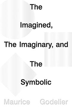 portada The Imagined, the Imaginary and the Symbolic (en Inglés)
