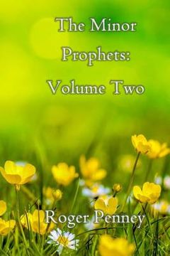 portada The Minor Prophets: Volume Two (en Inglés)