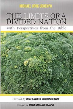 portada The Limits of a Divided Nation With Perspectives From the Bible (en Inglés)