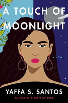 portada A Touch of Moonlight: A Novel (in English)