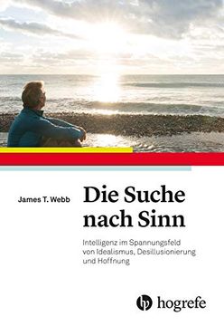portada Die Suche Nach Sinn: Intelligenz im Spannungsfeld von Idealismus, Desillusionierung und Hoffnung (in German)