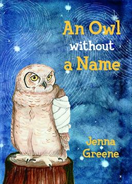 portada An owl Without a Name (en Inglés)