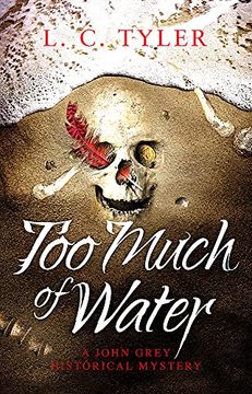portada Too Much of Water (a John Grey Historical Mystery) (en Inglés)