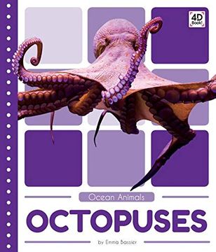 Octopuses (Ocean Animals (Pop)) (en Inglés)