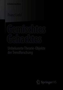 portada Gemischtes Gehacktes: Unbekannte Theorie-Objekte der Trendforschung (Erlebniswelten) (in German)