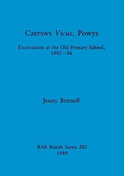portada Caersws Vicus, Powys: Excavations at the old Primary School 1985-86 (205) (British Archaeological Reports British Series) 