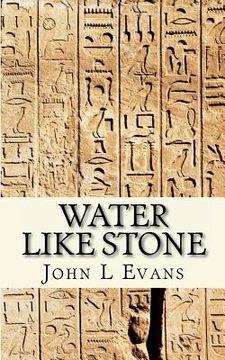portada water like stone (en Inglés)